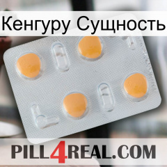 Кенгуру Сущность 24